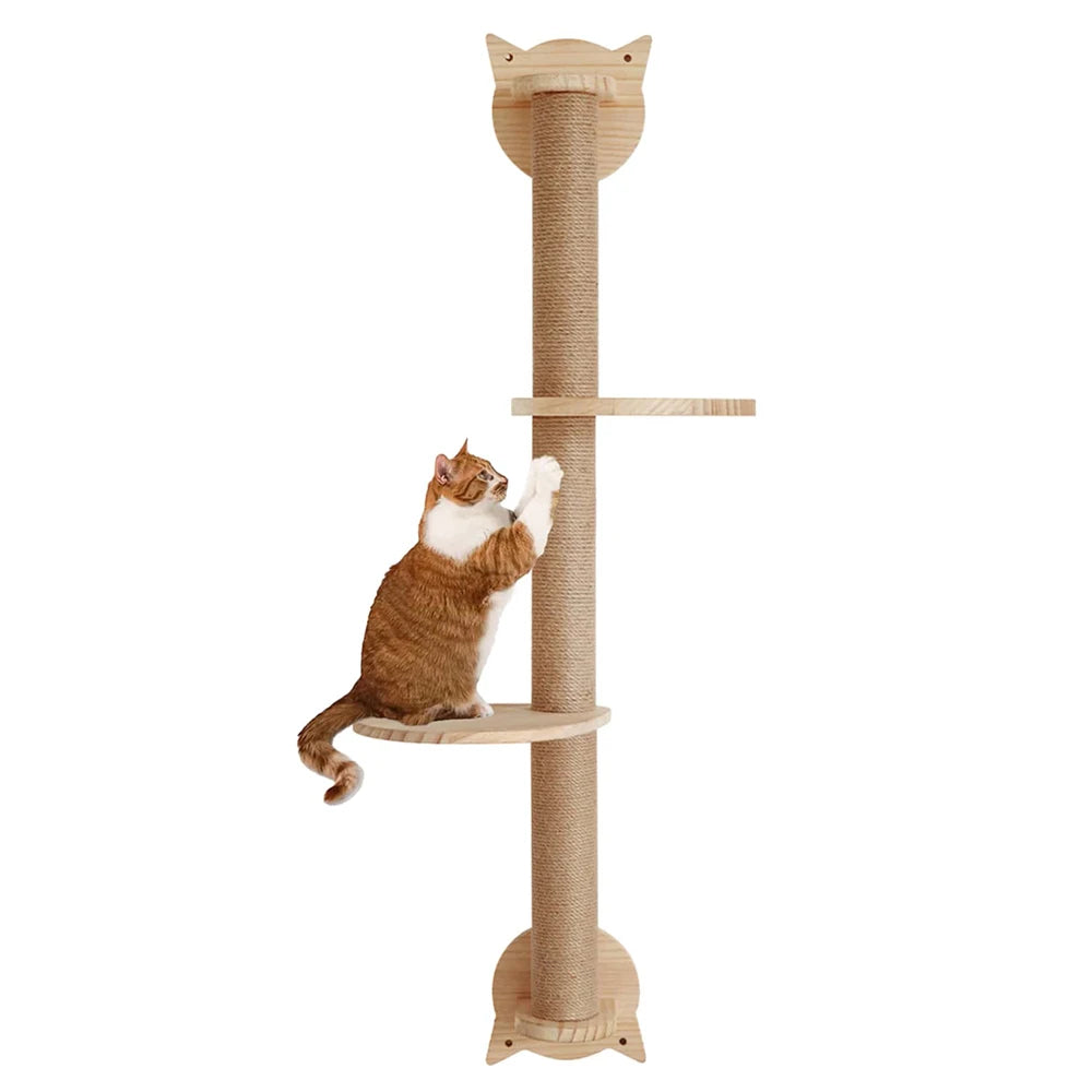 Cat Tree With Scratching Posts.