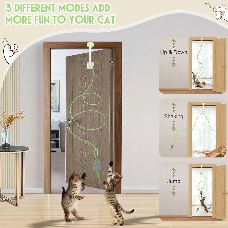 Interactive Hanging Door Cat Toy.