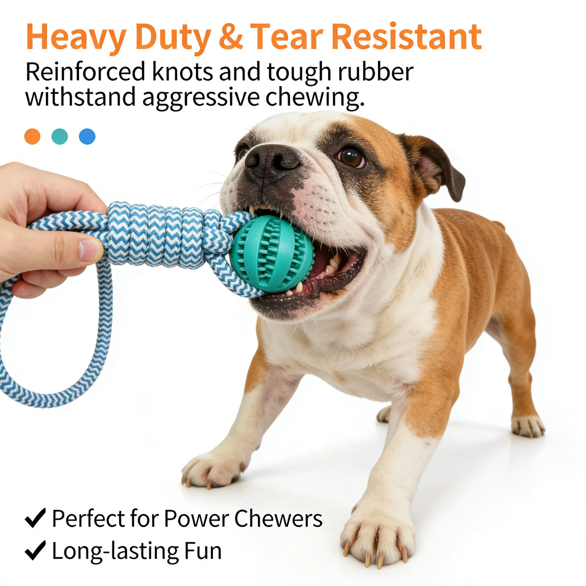 Dog Chew Toy with Treat.