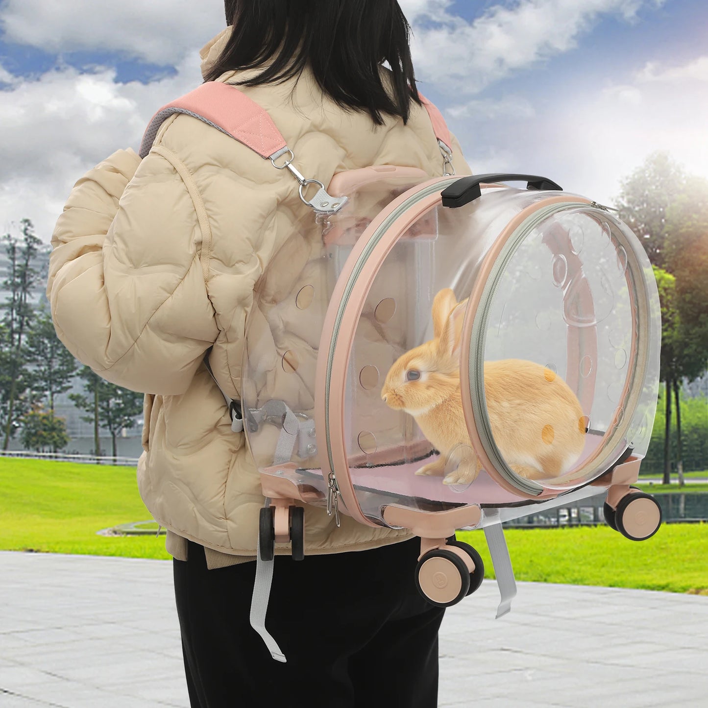 Cat Carrier.