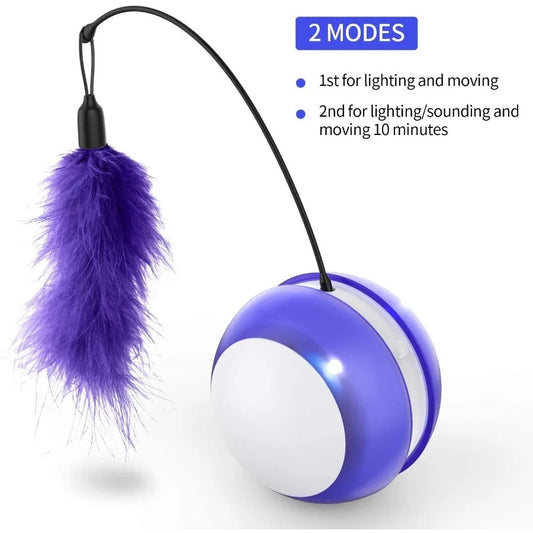Rolling Pet Toys.