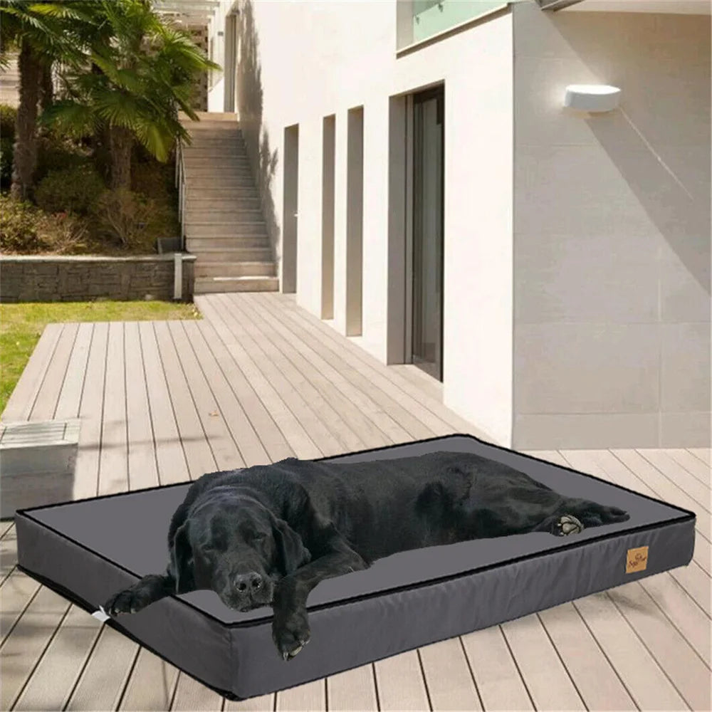 Large Orthopedic Dog Bed.