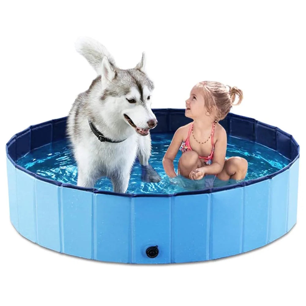 Dog Swimming Pool.