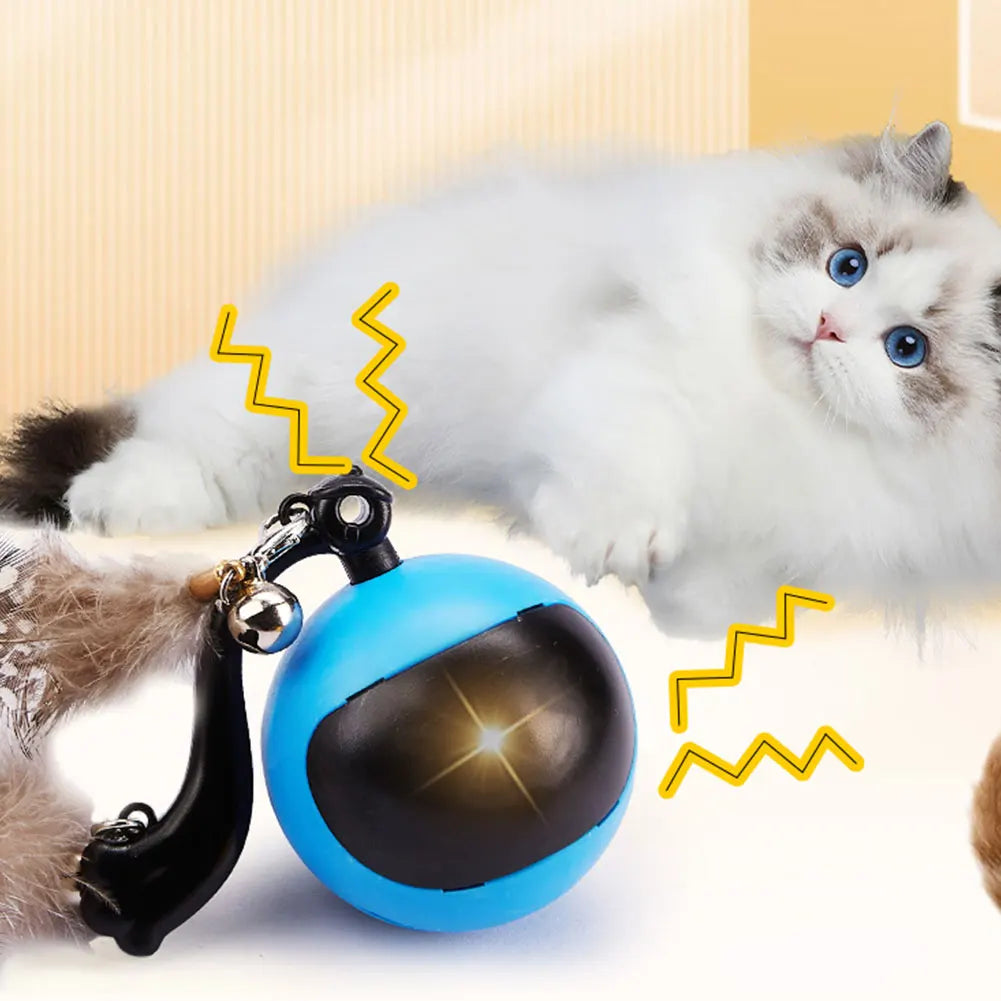 Cat Interactive Ball.