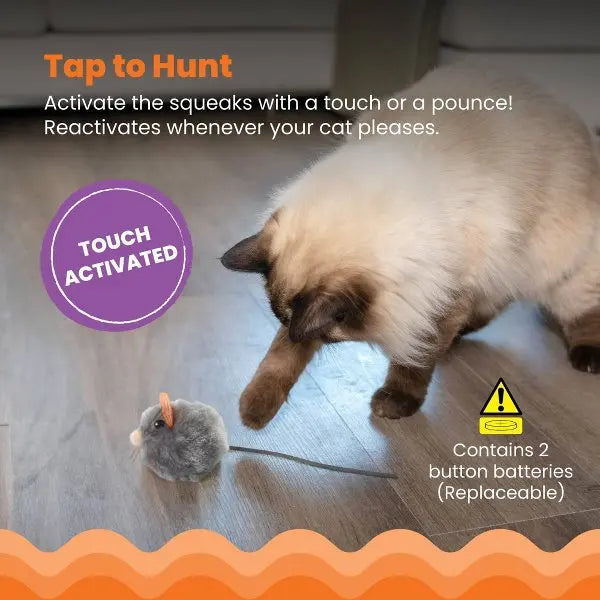 Cat Toys.
