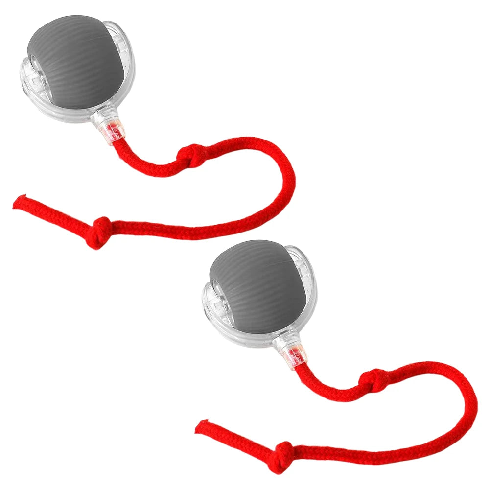 Cat Interactive Ball Toy.