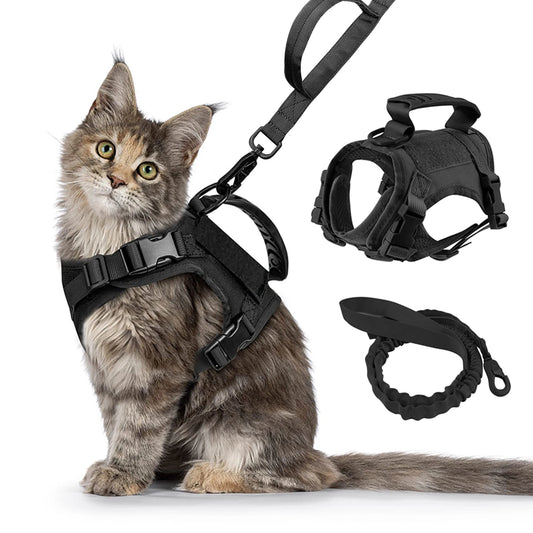 Tactical Cat Harness.