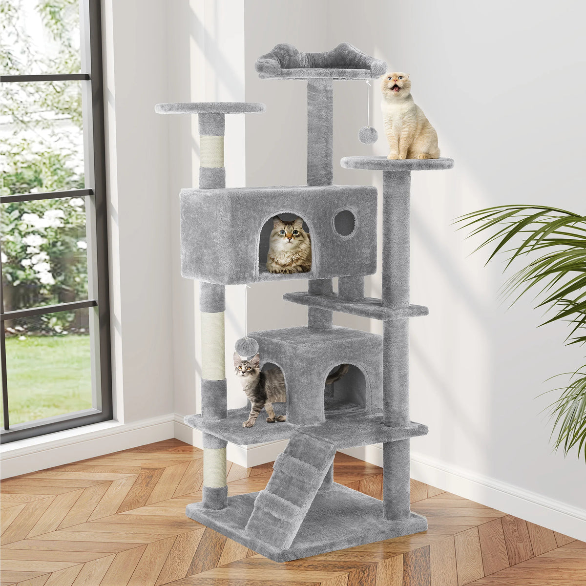 Indoor Cat Tree Tower.