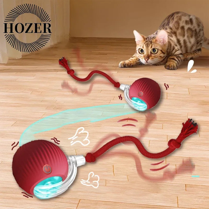 2Pcs Cat Interactive Ball Toys.