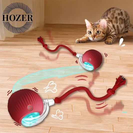 2Pcs Cat Interactive Ball Toys.