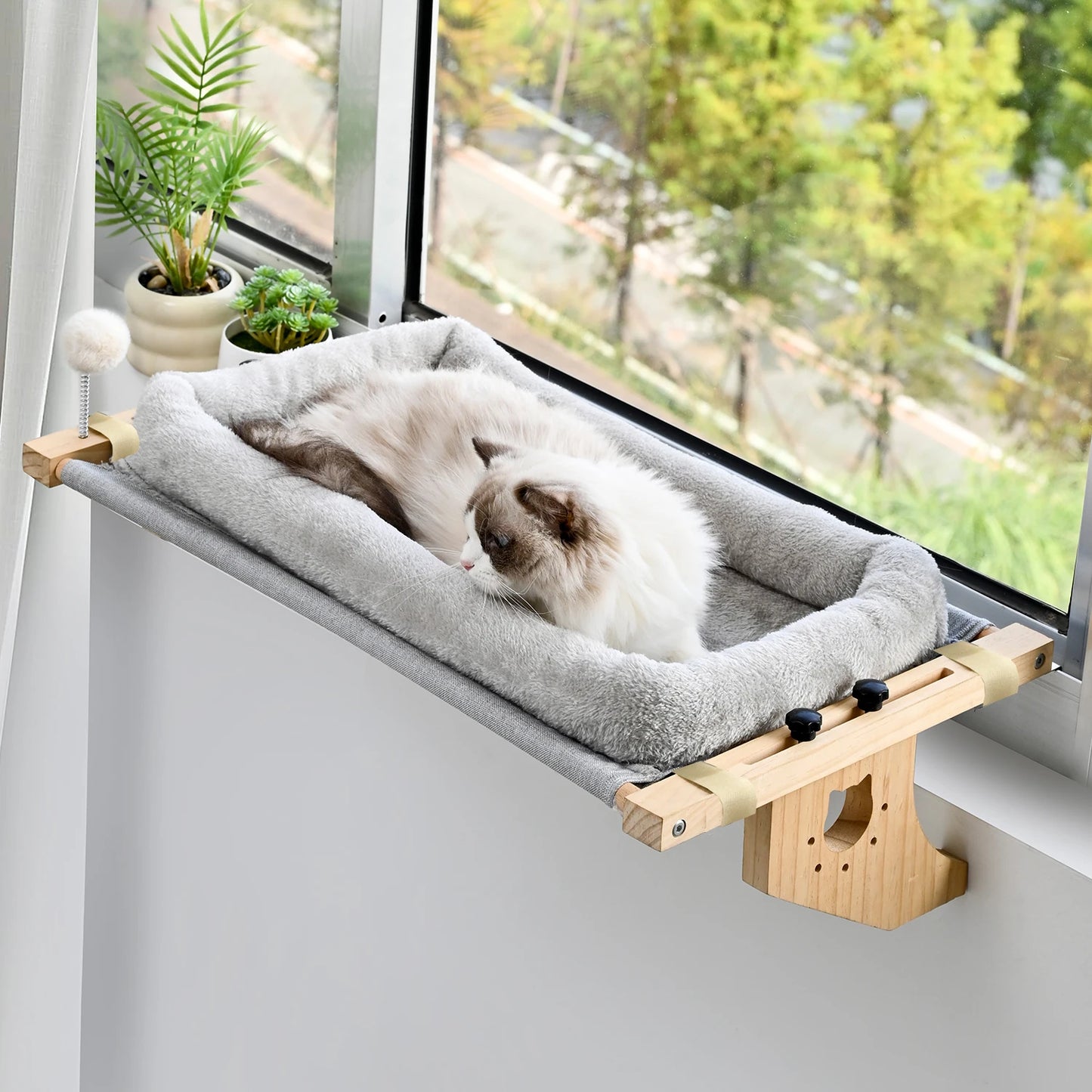 Window Hammock Bed.