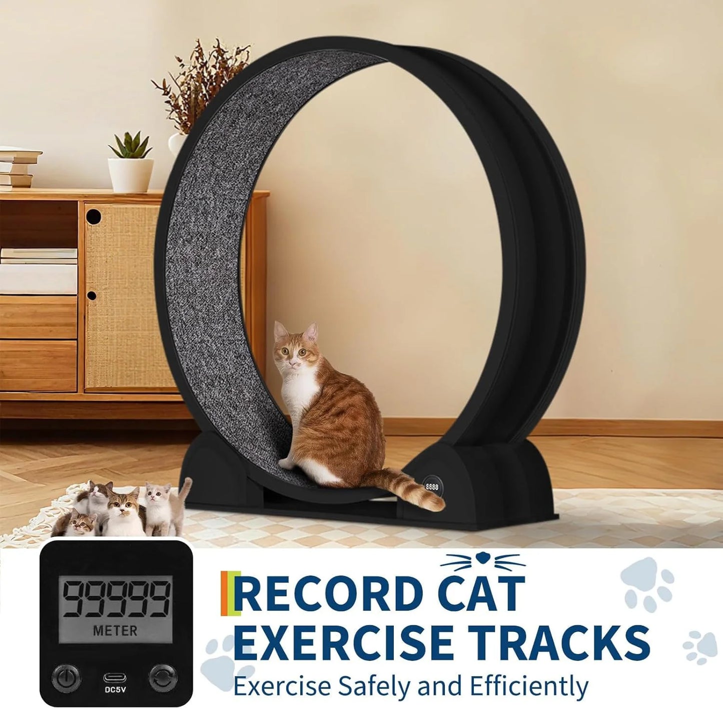 Cat Exercise Wheel.
