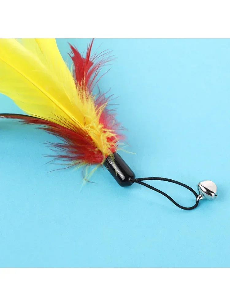 Cat Toy.