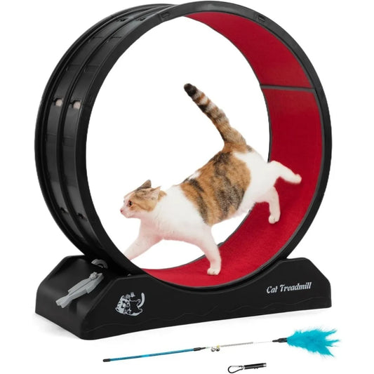 Cat Exercise Wheel.