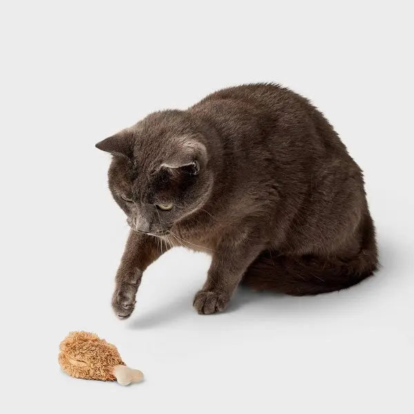 Cat Nip Play Toys.