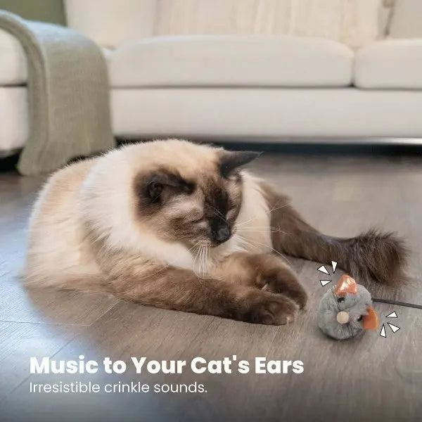 Cat Toys.