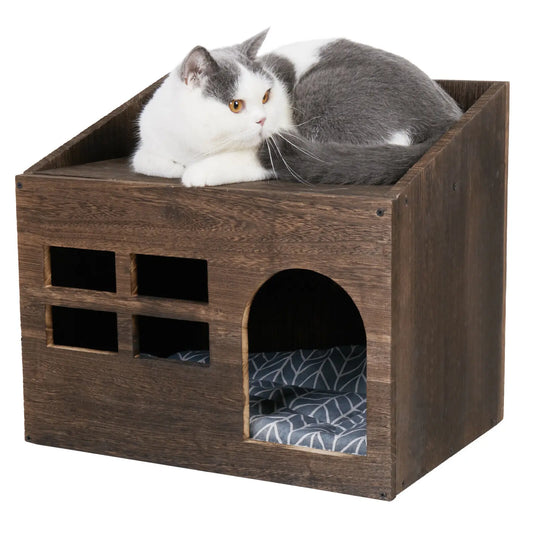 Cat Litter Box for Indoors.