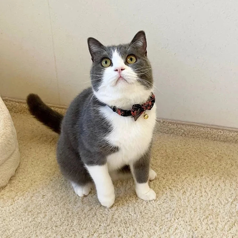 Gilded Gold Bow Tie Cat Collar.