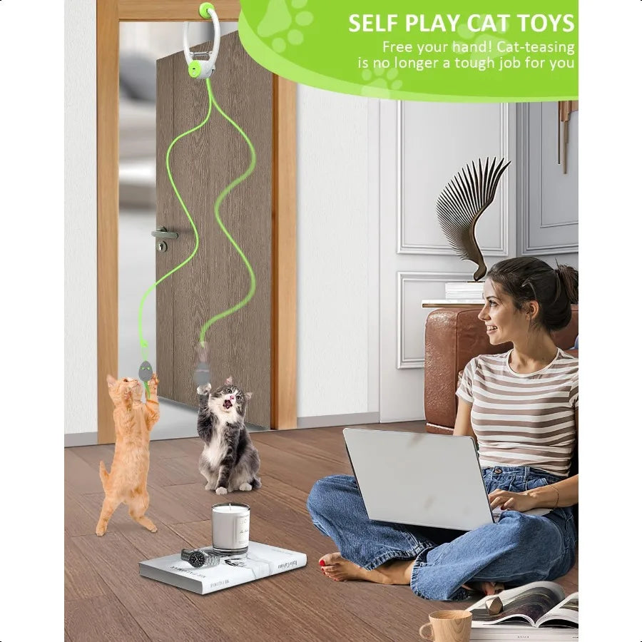 Interactive Hanging Door Cat Toy.