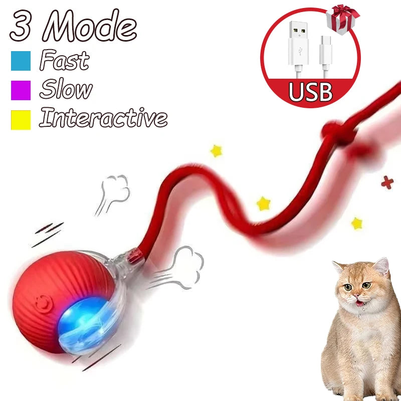 2Pcs Cat Interactive Ball Toys.