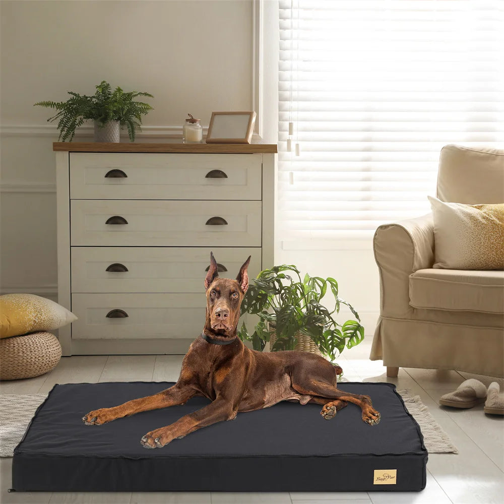 Large Orthopedic Dog Bed.