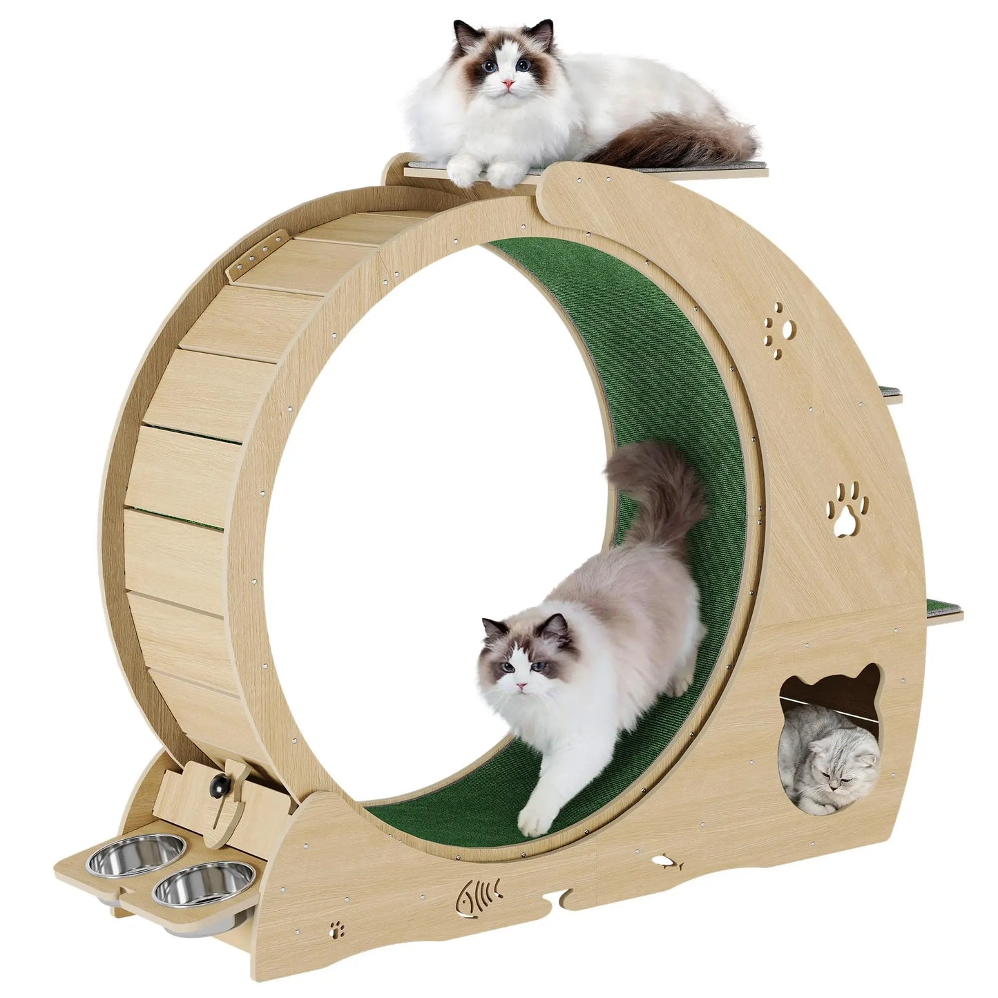 Cat Exercise Wheel.
