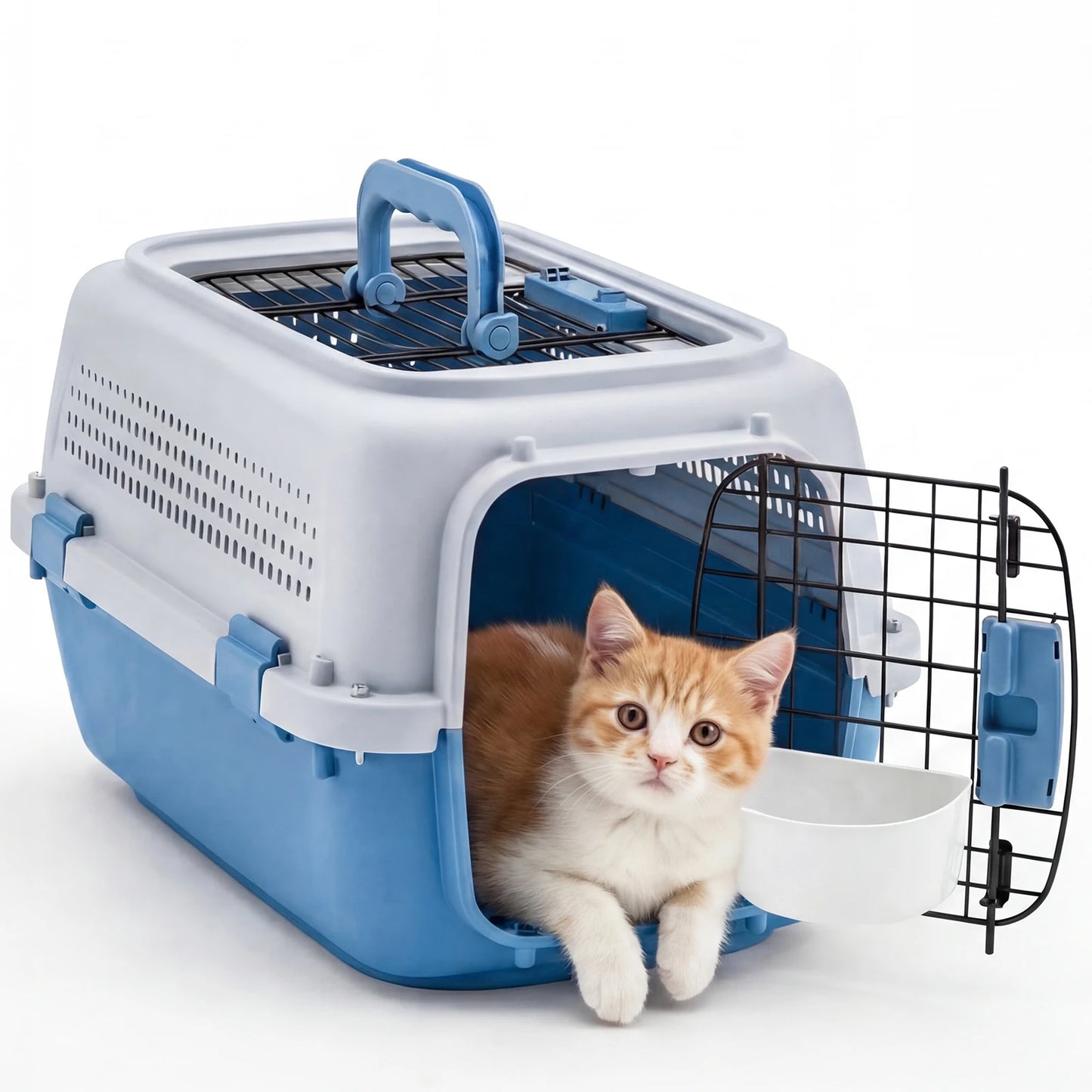 Pet Carrier for Small Dogs & Cats.