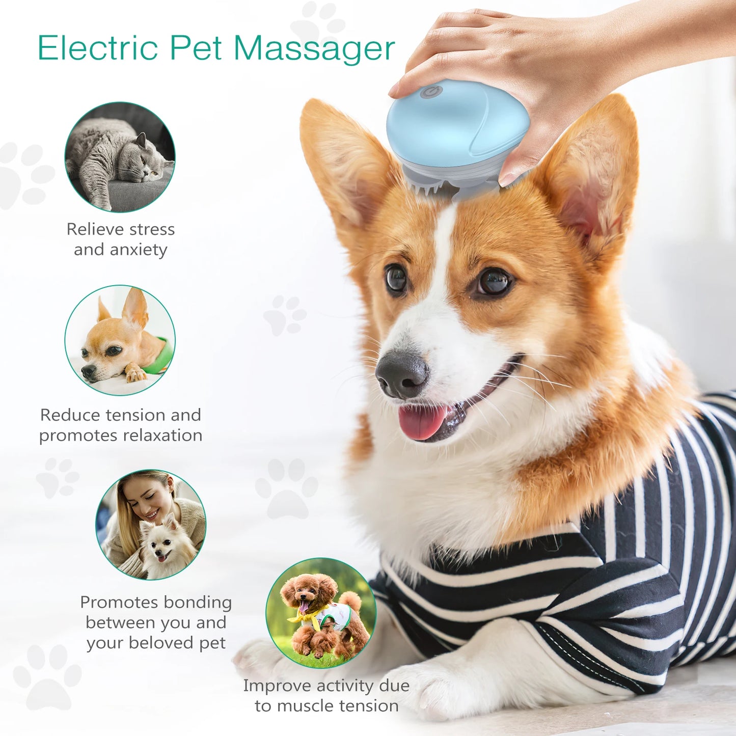 Electric Cat Massager.