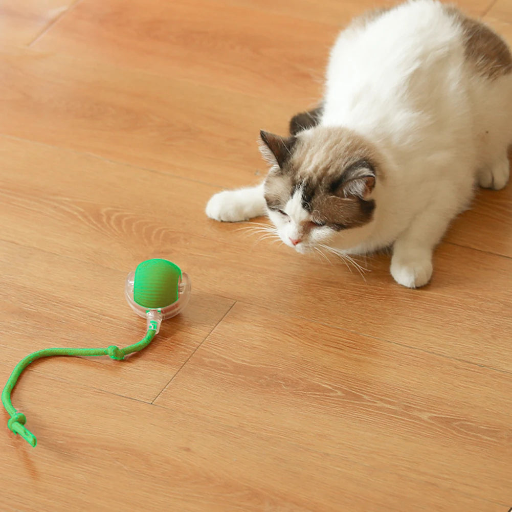 Cat Interactive Ball Toy.