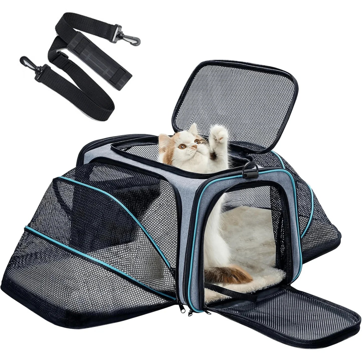 Pet, Cat & Dog Carrier.