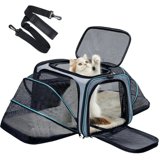 Pet, Cat & Dog Carrier.