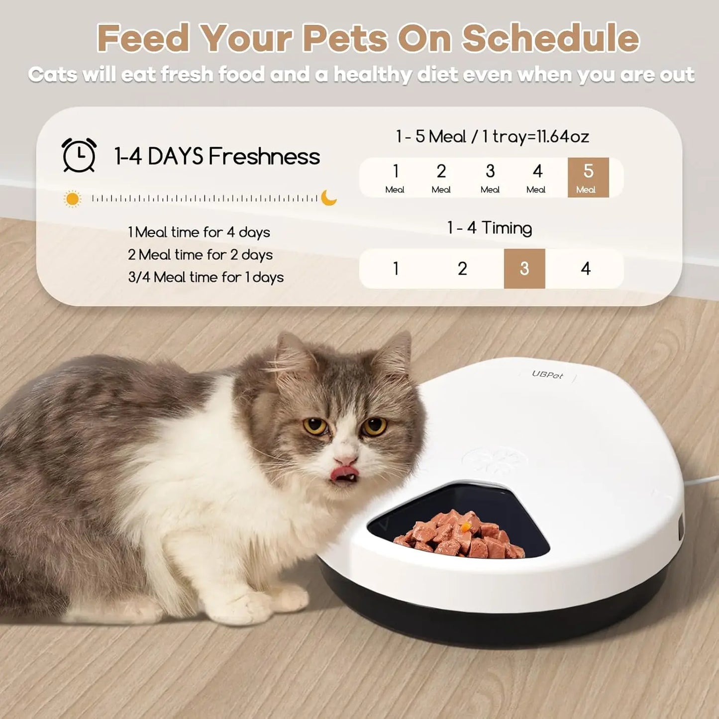 Automatic Cat Feeder.