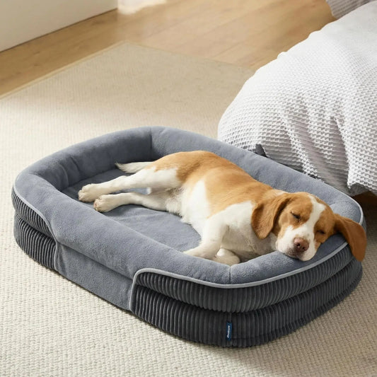 Orthopedic Dog Beds.