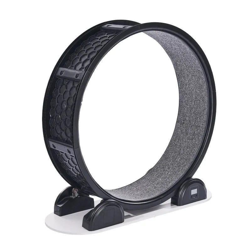 Cat Exercise Wheel.