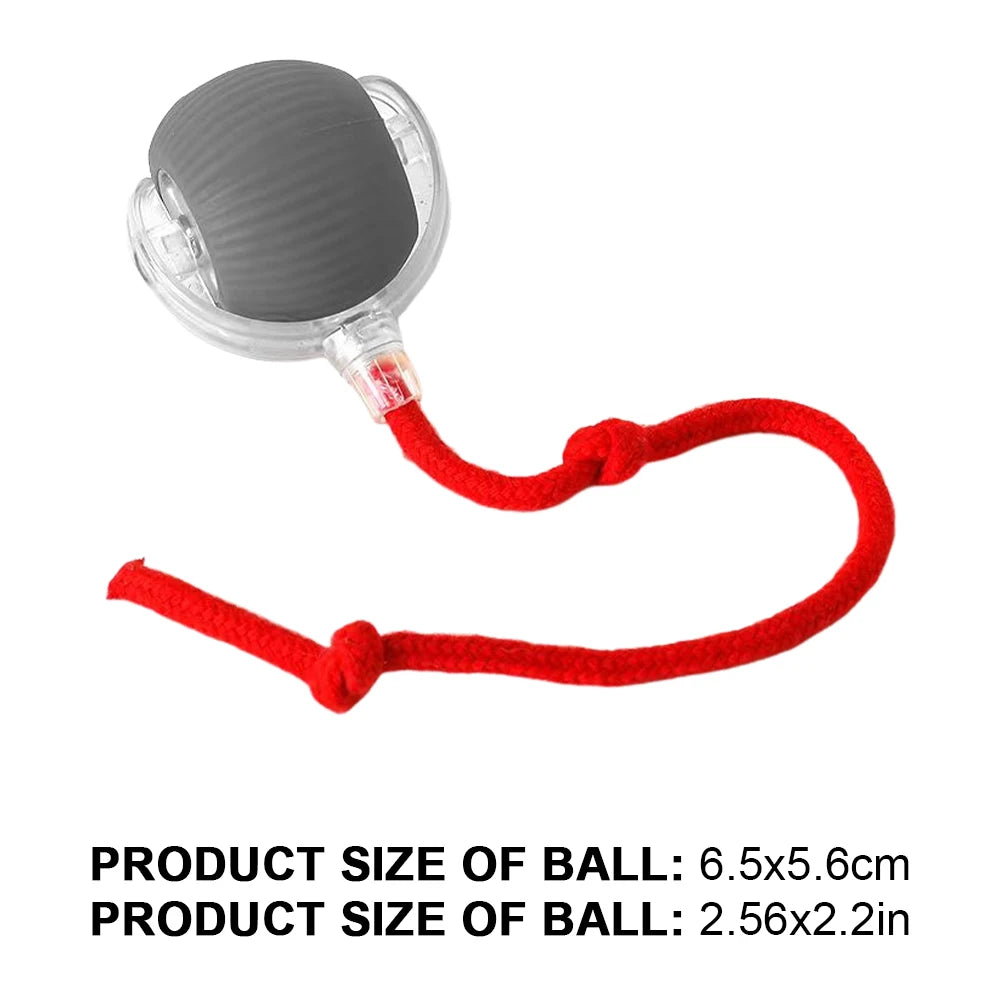 Cat Interactive Ball Toy.