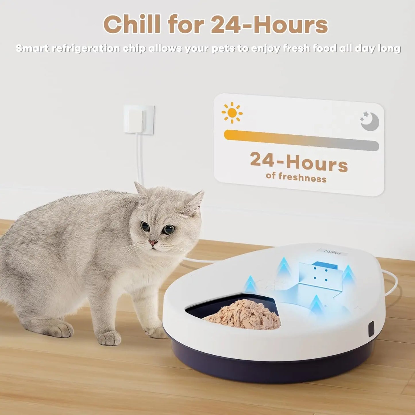 Automatic Cat Feeder.