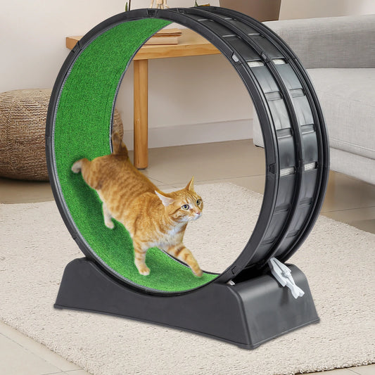 Cat Exercise Wheel.