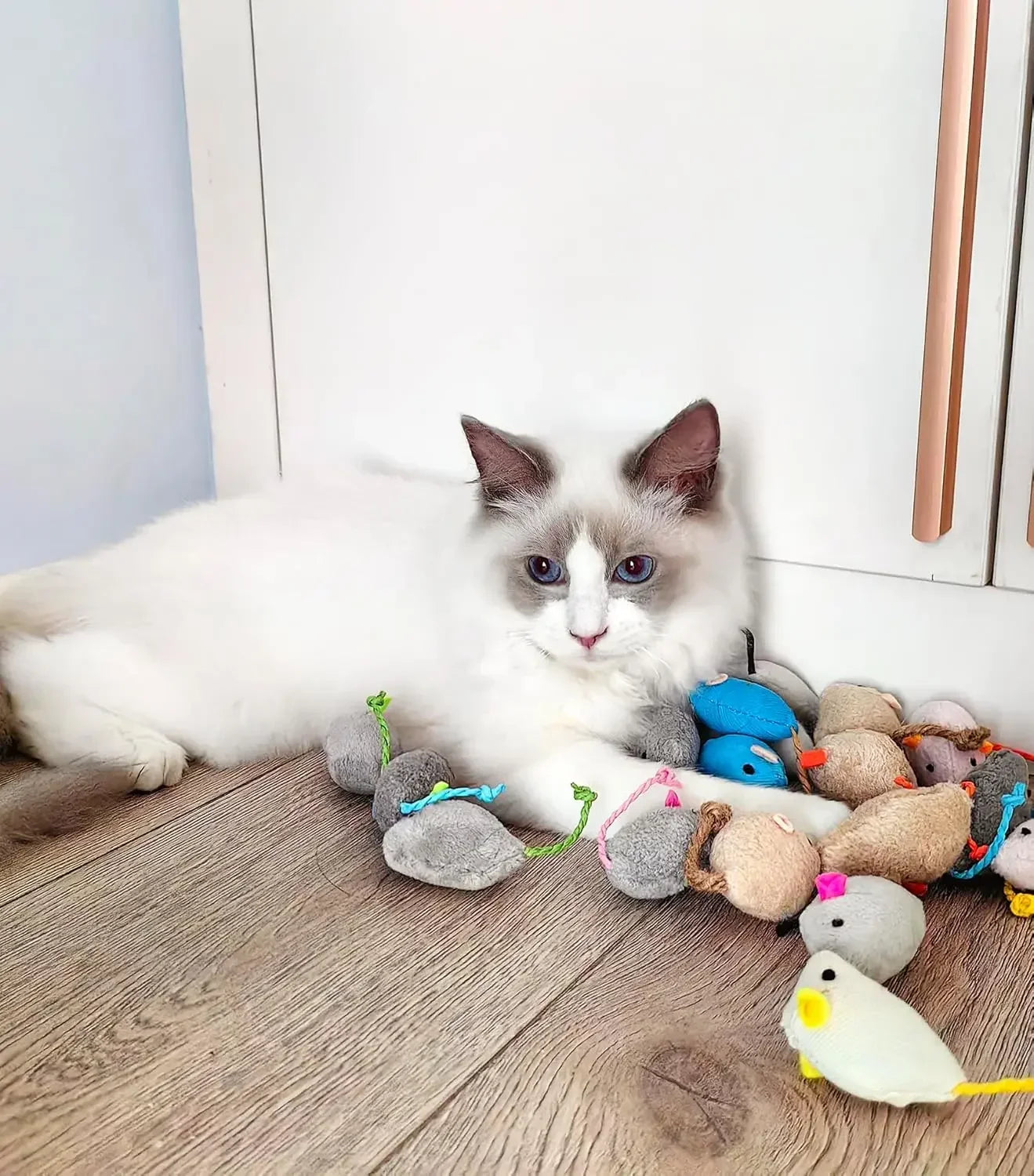 Cat Mouse Toys.