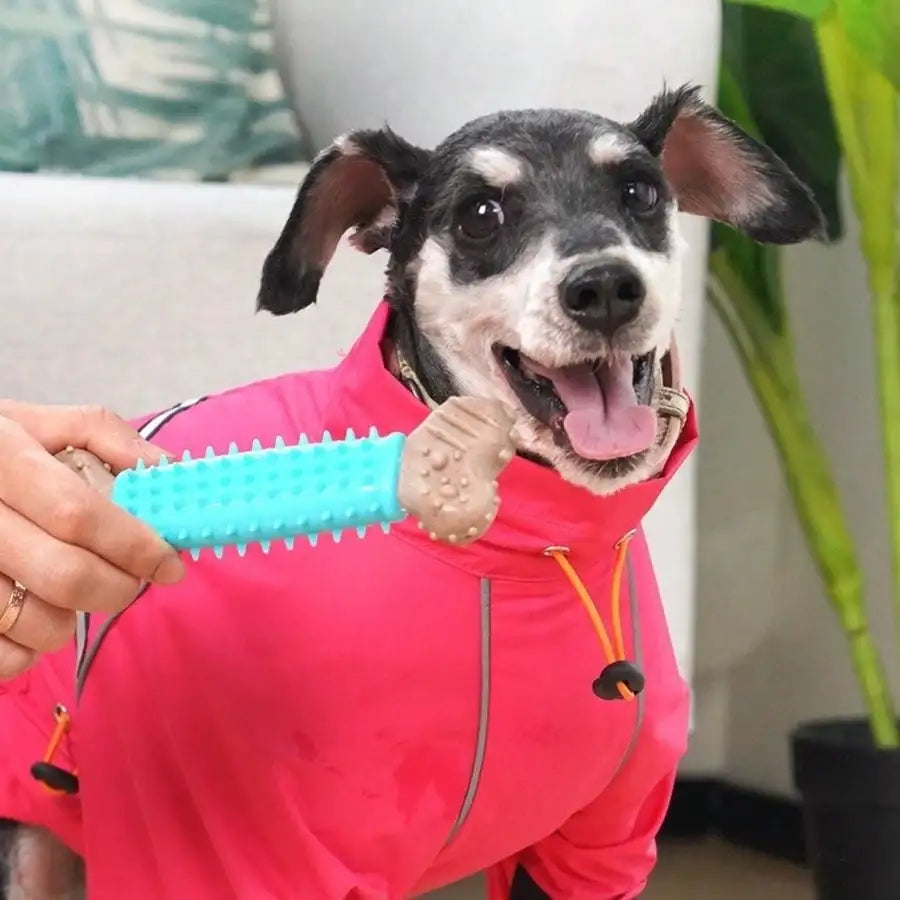 Dog Toy for Self-Amusement and Relaxation.
