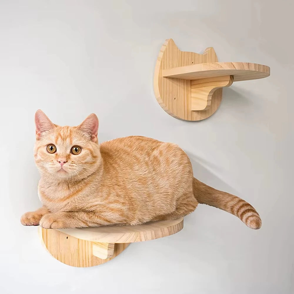 Cat Climbing Shelf Wall.