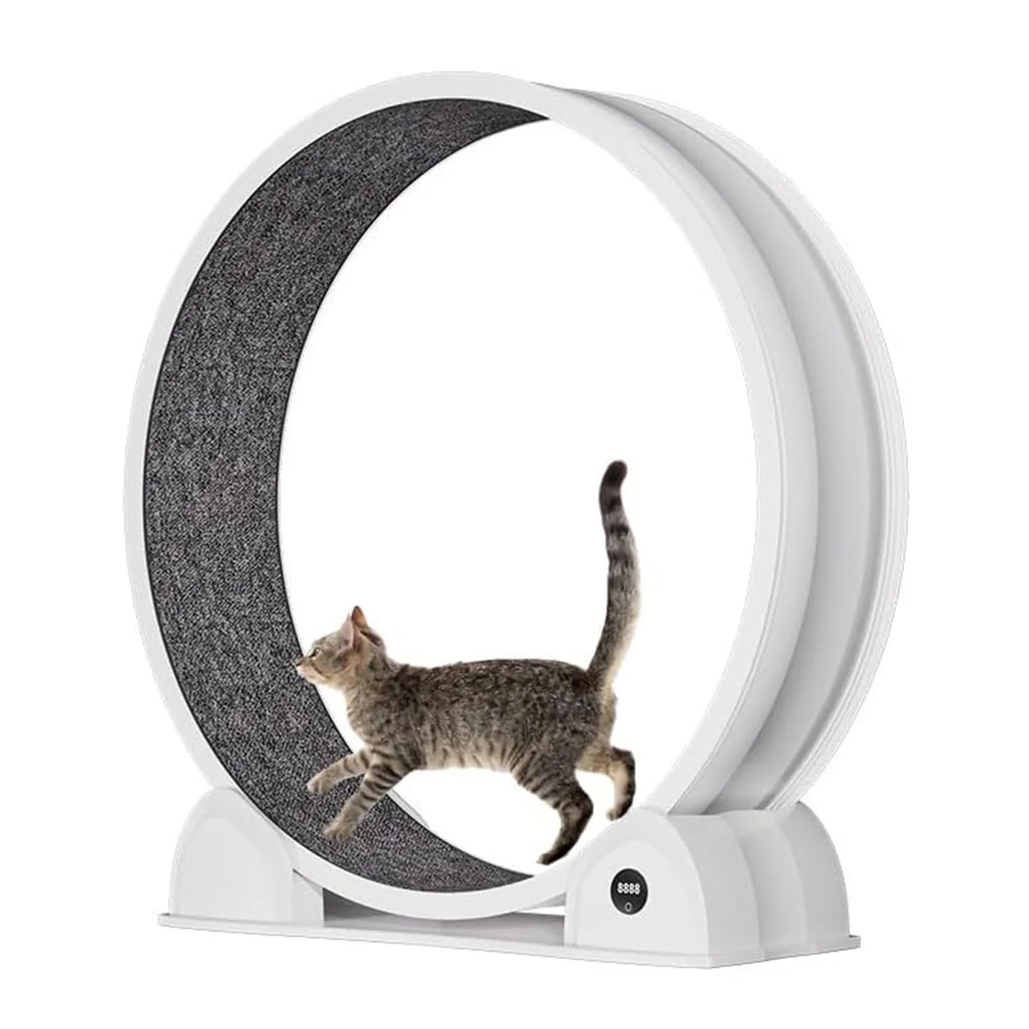 Cat Exercise Wheel.