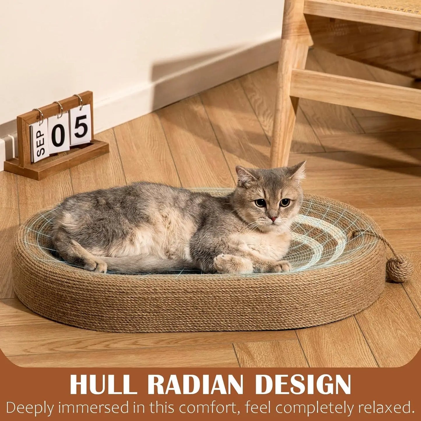 Cat Scratching Bed.