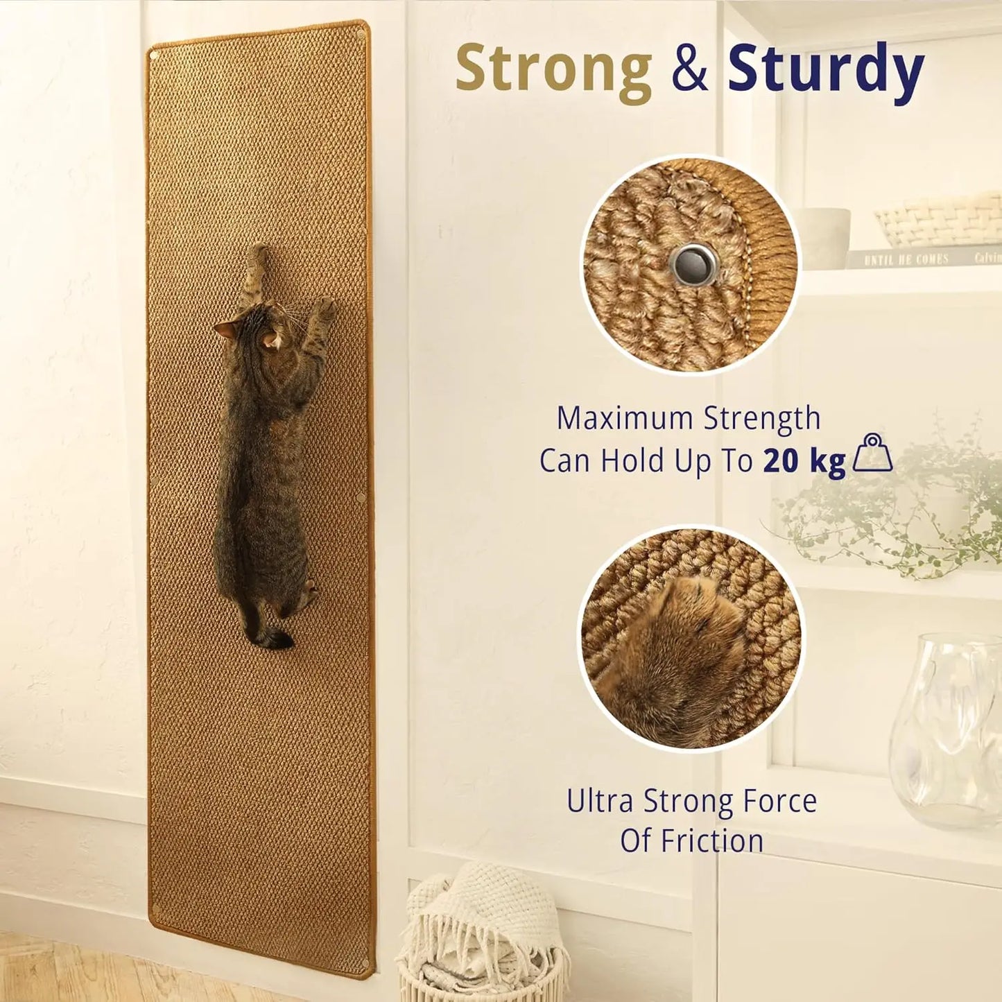 Cat Wall Climbing Carpet.