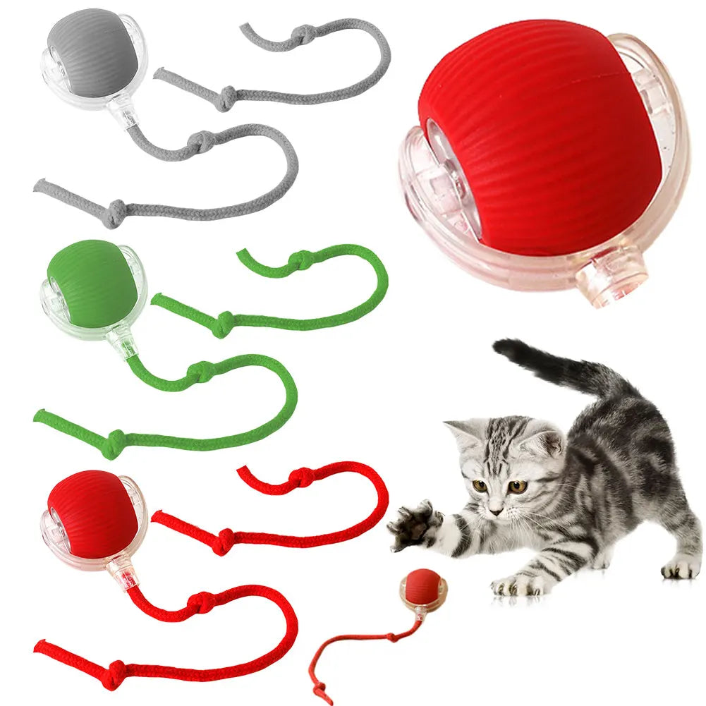 Cat Interactive Ball Toys.