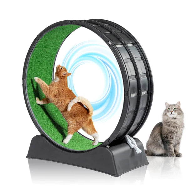 Interactive Cat Exercise Wheel.