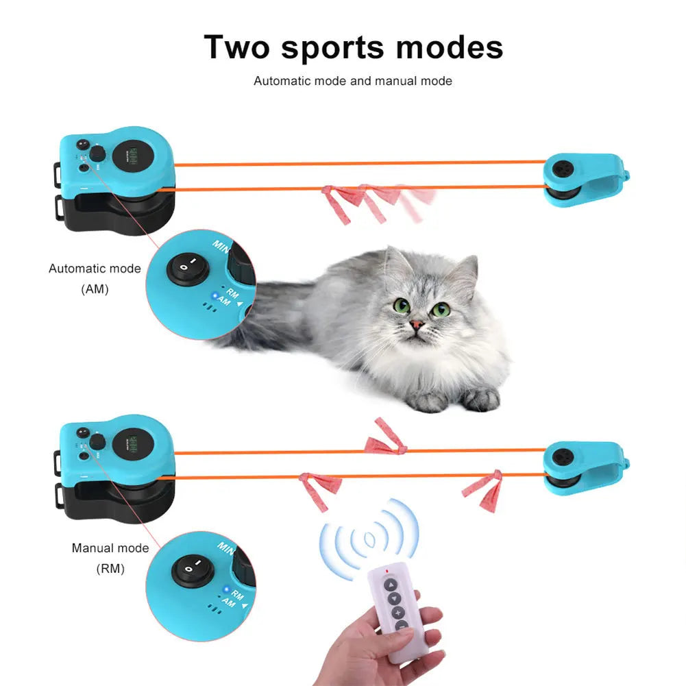 Interactive Cat Toy.