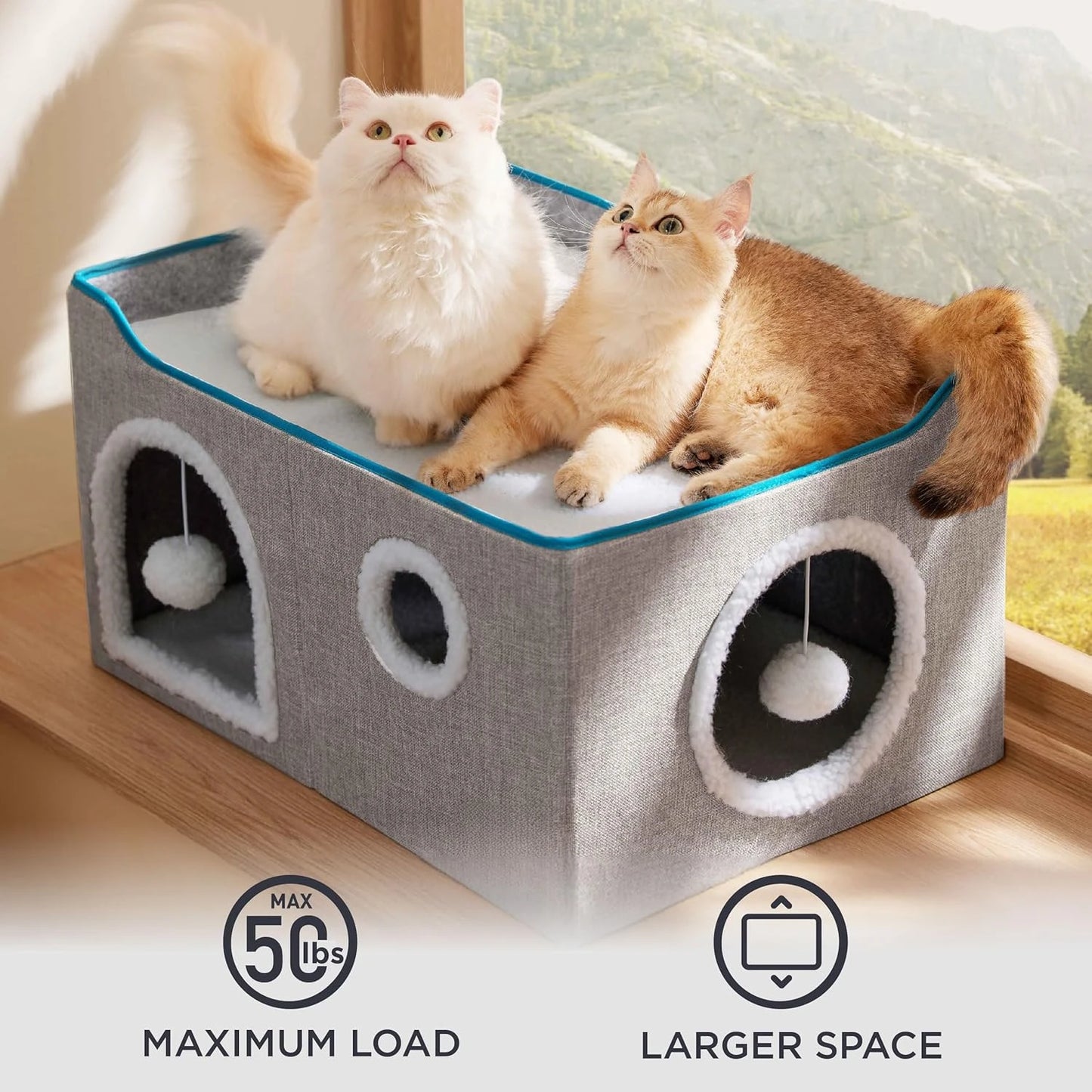 Wide Cat House.