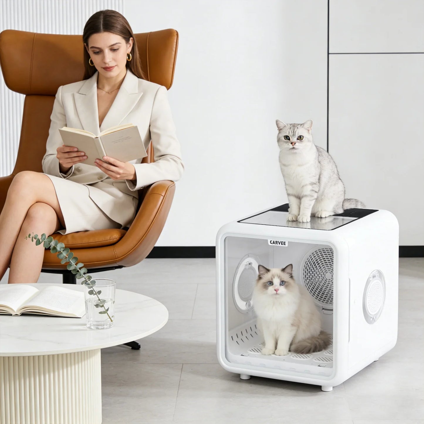 Automatic Pet Drying Box.