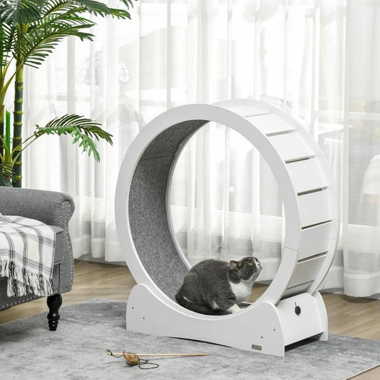 Cat Wheel.
