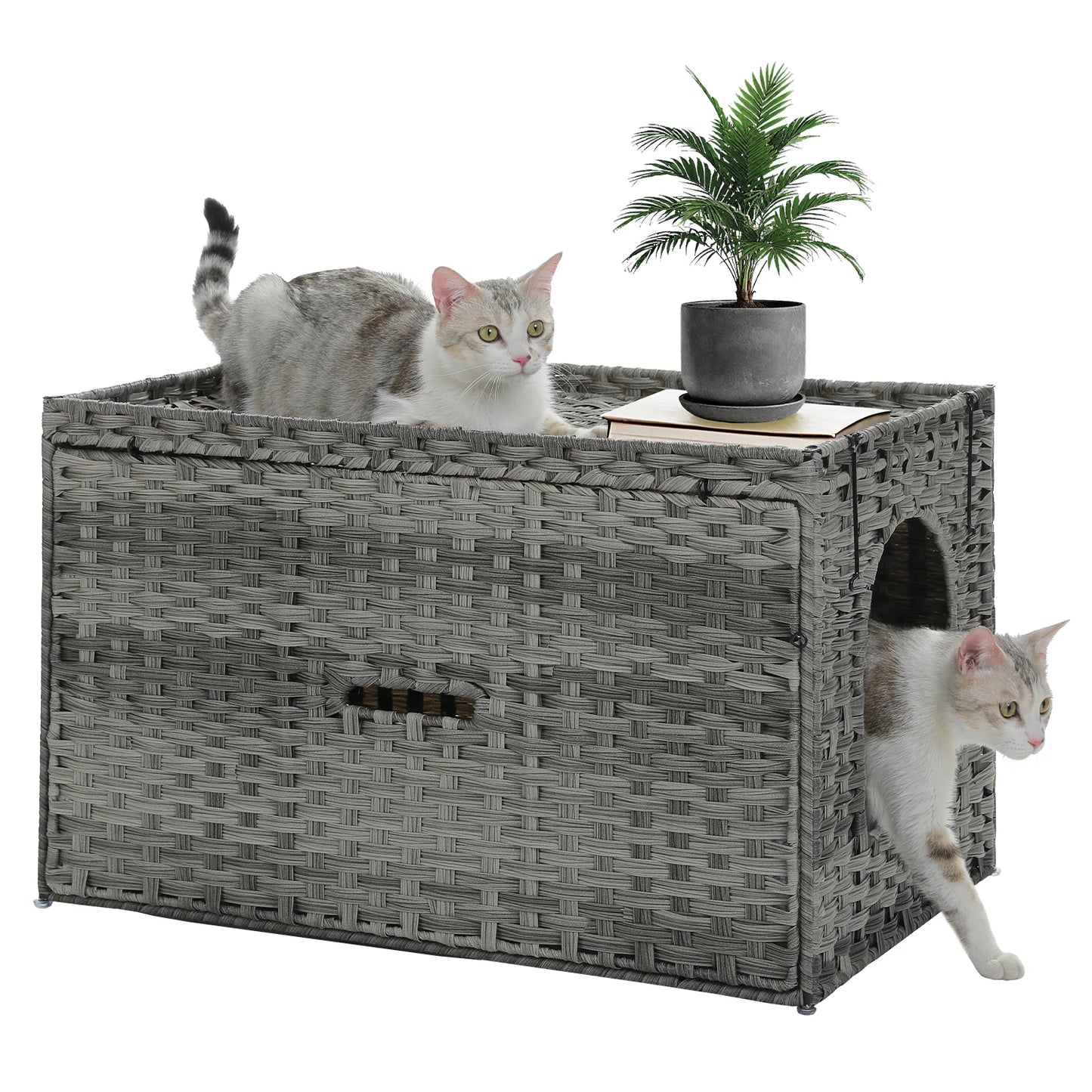 Rattan Cat Litter Box.